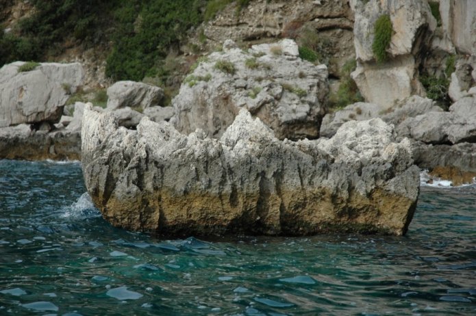 230489754_2cea97db60_o