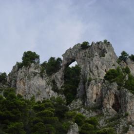 230489801_73213aa881_o