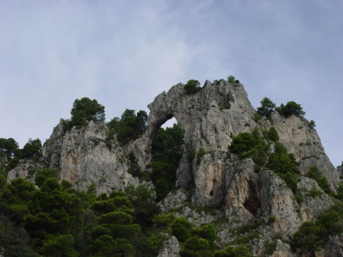 230489801_73213aa881_o