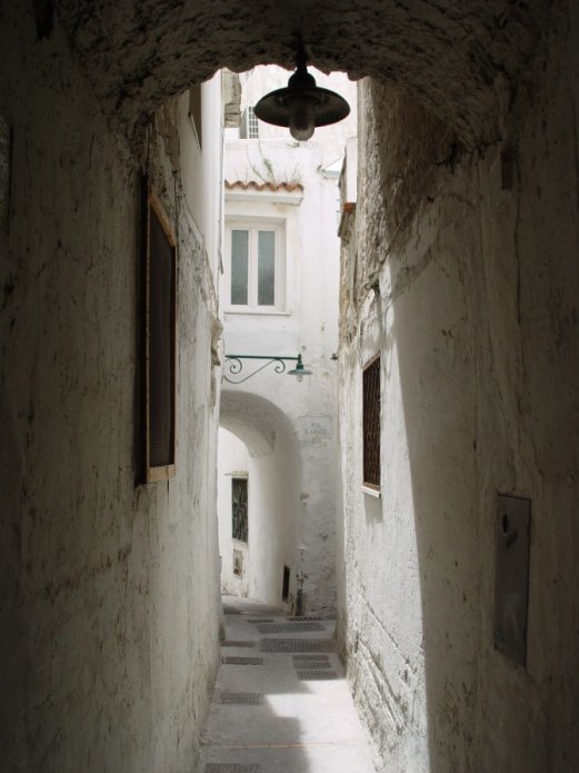 230489915_7cc34d1700_o