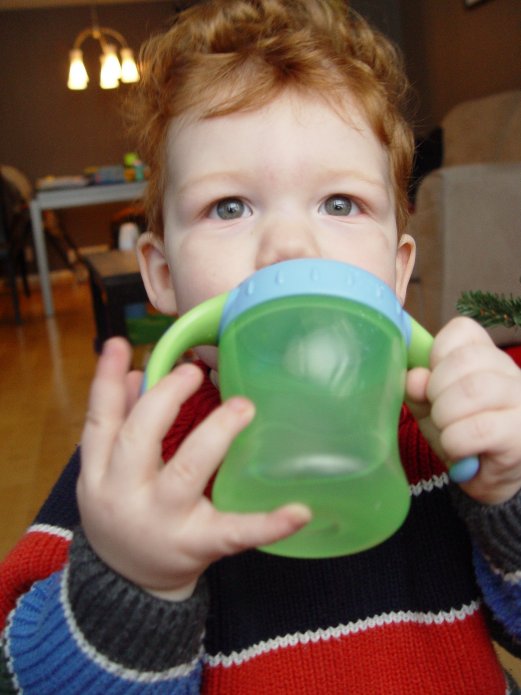 3173859891_34e7c0ab2c_o