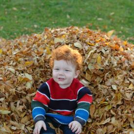 2940966945_170f99743c_o