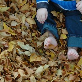 2940969533_5feef73ed4_o