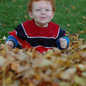 2940970673_22624156af_o