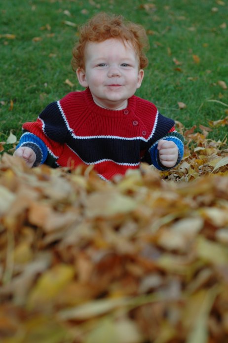 2940970673_22624156af_o