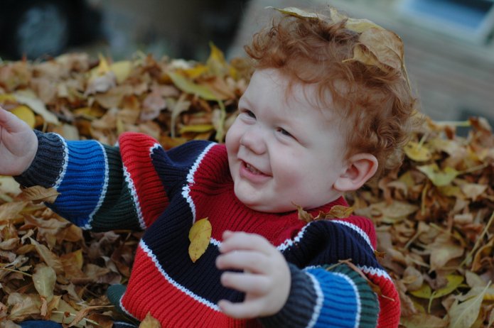 2941835002_f953f34fd4_o