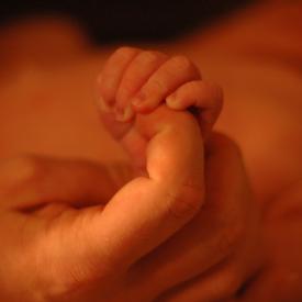 1403631461_b2a899be92_o