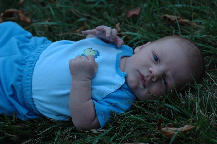 1445108748_376b8f723c_o