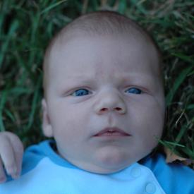 1445116038_a4f34d79c9_o