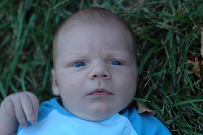 1445116038_a4f34d79c9_o