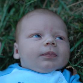 1445120412_bcc8cbadf0_o