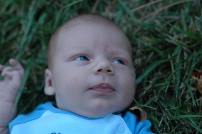 1445120412_bcc8cbadf0_o