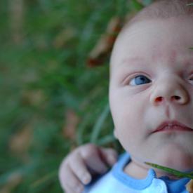 1445125042_238cb6b36a_o