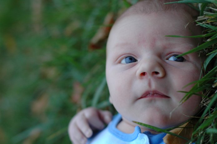 1445125042_238cb6b36a_o