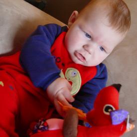 2211917679_be014439ba_o