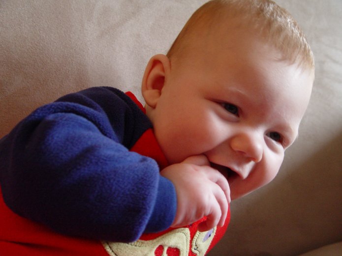 2212707012_ba3b24de05_o