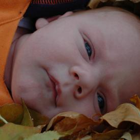 1570996145_7c5fef6f0b_o