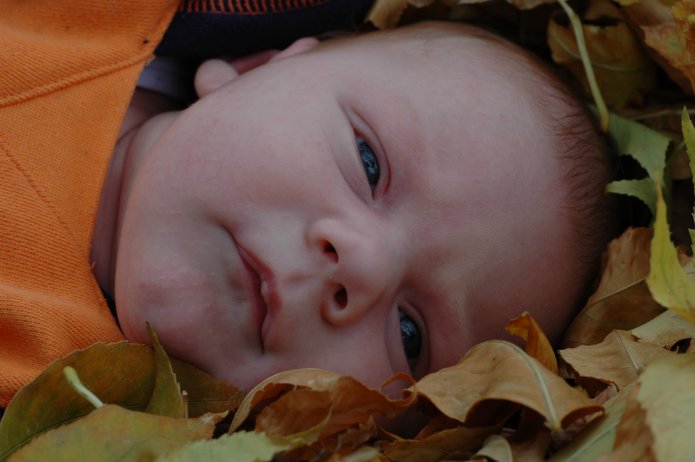 1570996145_7c5fef6f0b_o