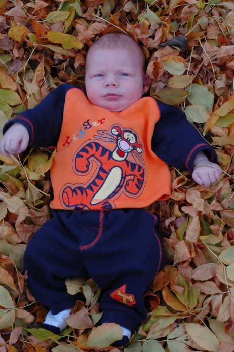 1571001205_70d9157fa6_o