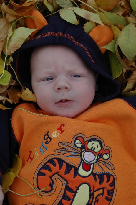 1571006821_25b2191c94_o