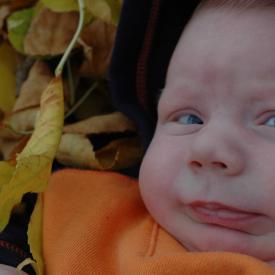 1571010557_2166c0c853_o