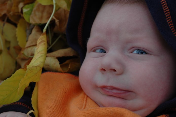 1571010557_2166c0c853_o