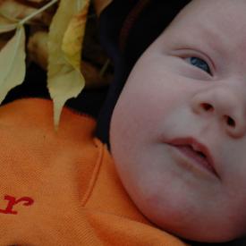 1571014645_609742bfbb_o