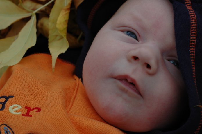 1571014645_609742bfbb_o