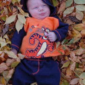 1571018845_73980b431c_o