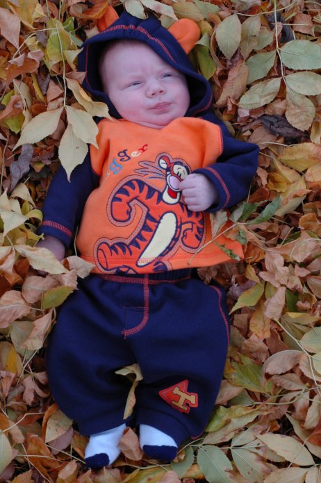 1571018845_73980b431c_o