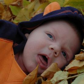 1571024471_0f7d8c8b34_o