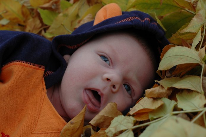 1571024471_0f7d8c8b34_o