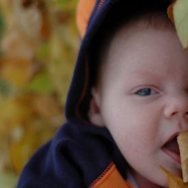 1571029163_5c8a143c00_o