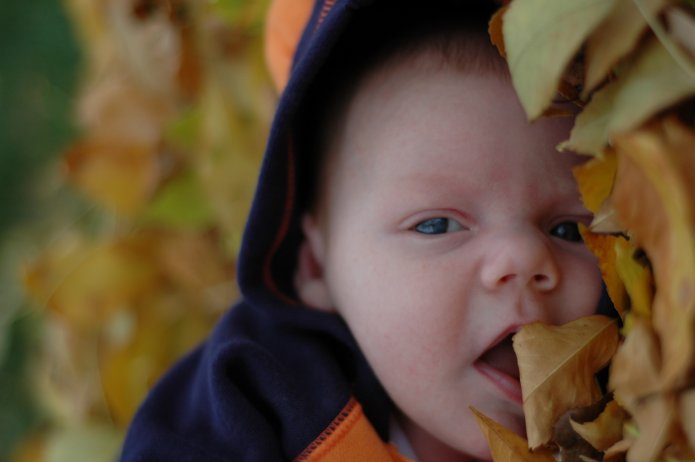 1571029163_5c8a143c00_o