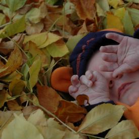 1571881694_0345fc7313_o