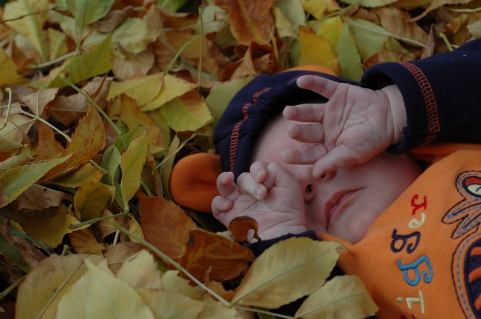 1571881694_0345fc7313_o