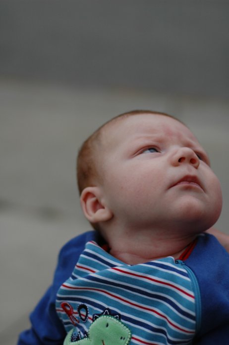 1697669835_24ee6afa52_o