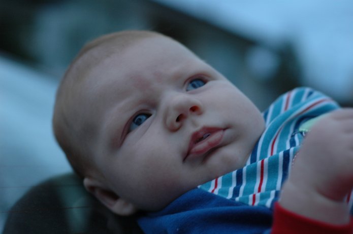 1697740525_9ff01be63c_o