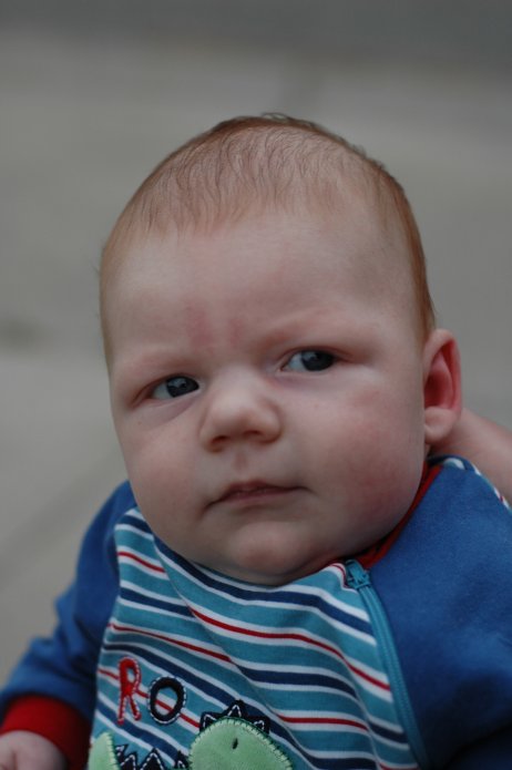 1698531400_14da91bbc8_o