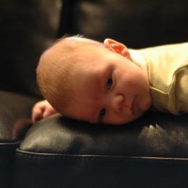 1950385919_7a0d23cb32_o