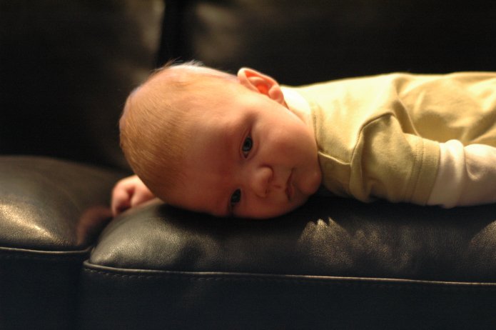 1950385919_7a0d23cb32_o