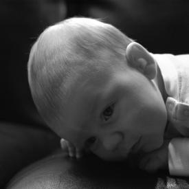 1950389287_7c3e5b6bd7_o