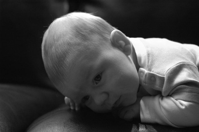 1950389287_7c3e5b6bd7_o