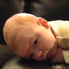 1950394515_ccb94ce527_o