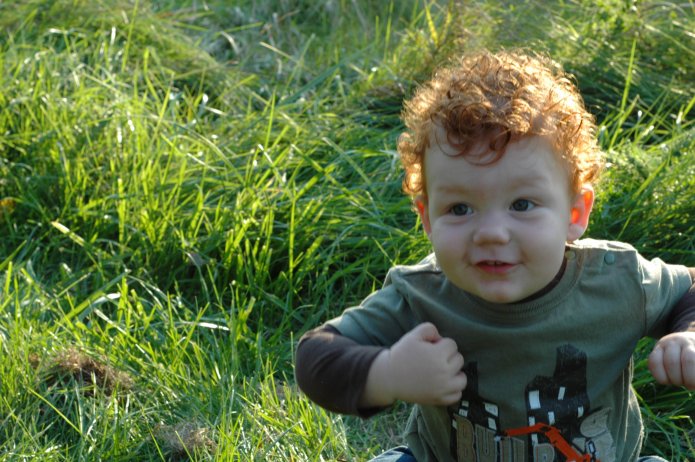 2885572539_9c176fa50a_o