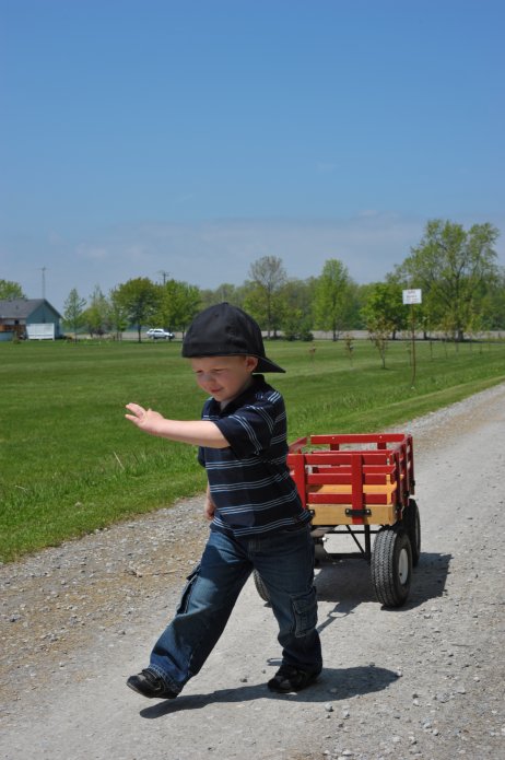 4636824097_b54ccfe97d_o