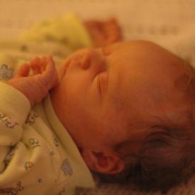 1496631267_b5f1b549f0_o