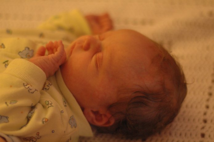 1496631267_b5f1b549f0_o