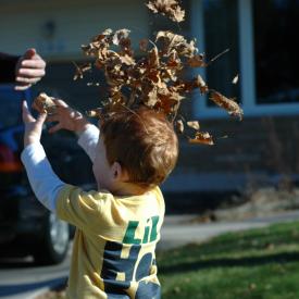 4109042197_ffc2e2e921_o