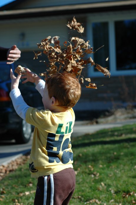 4109042197_ffc2e2e921_o